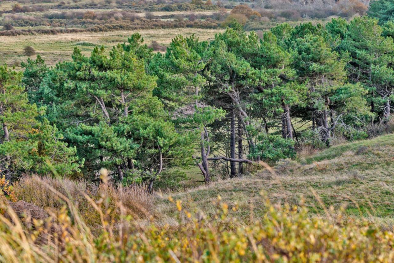 Hotelhuisje Warmenhuizen #F Exteriér fotografie